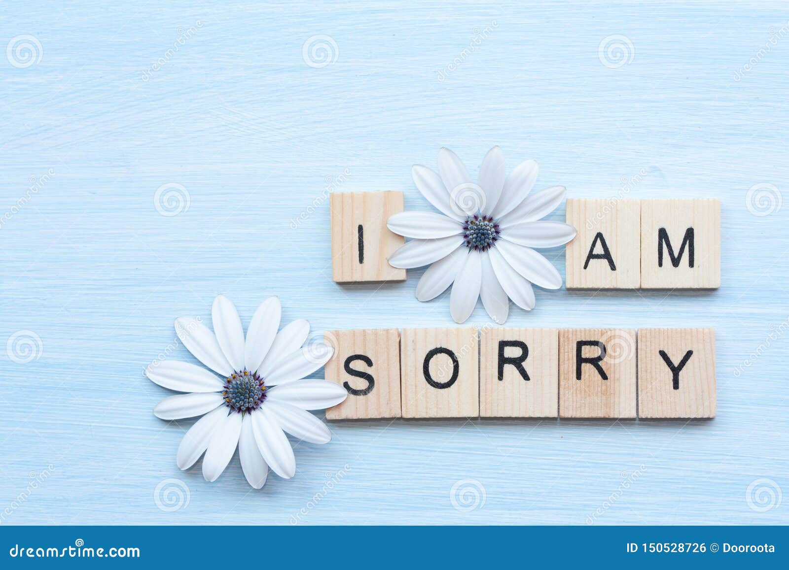 I Am Sorry Text And Flowers Stock Photo Image Of Sorry Flowers 150528726