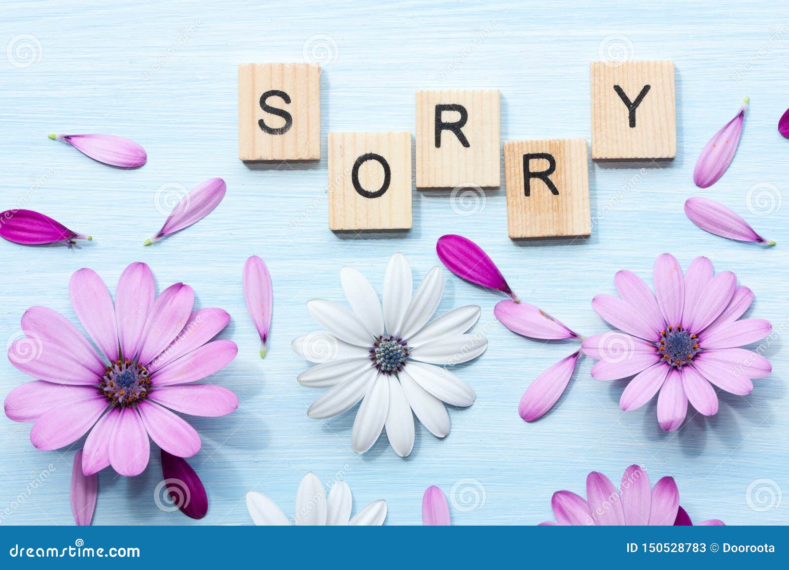 Word sorry and flowers. stock image. Image of letters - 150528783