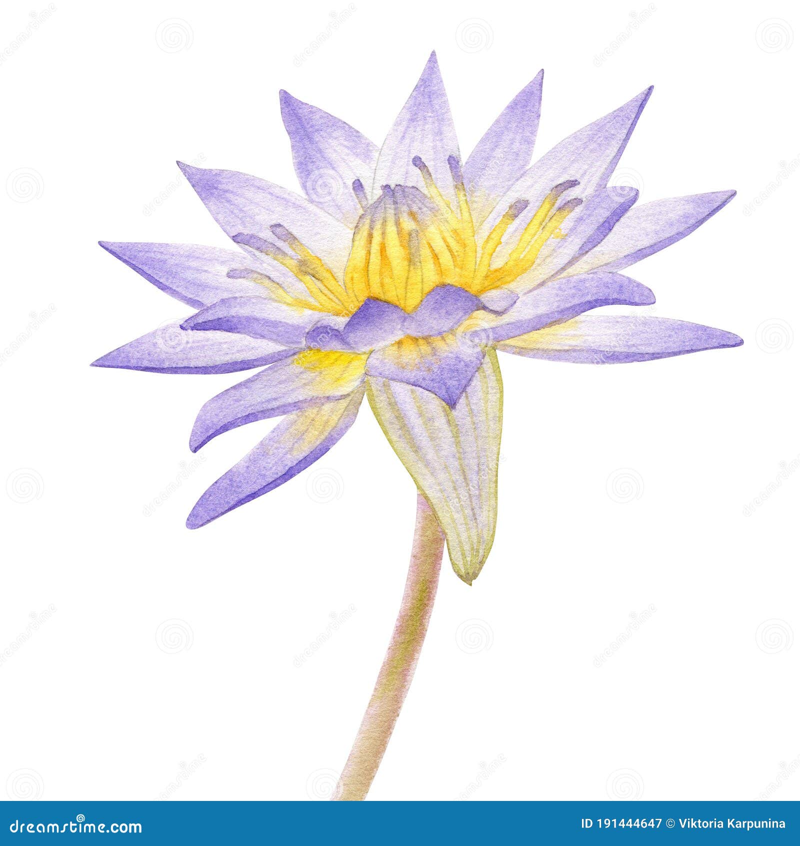 My Image 24