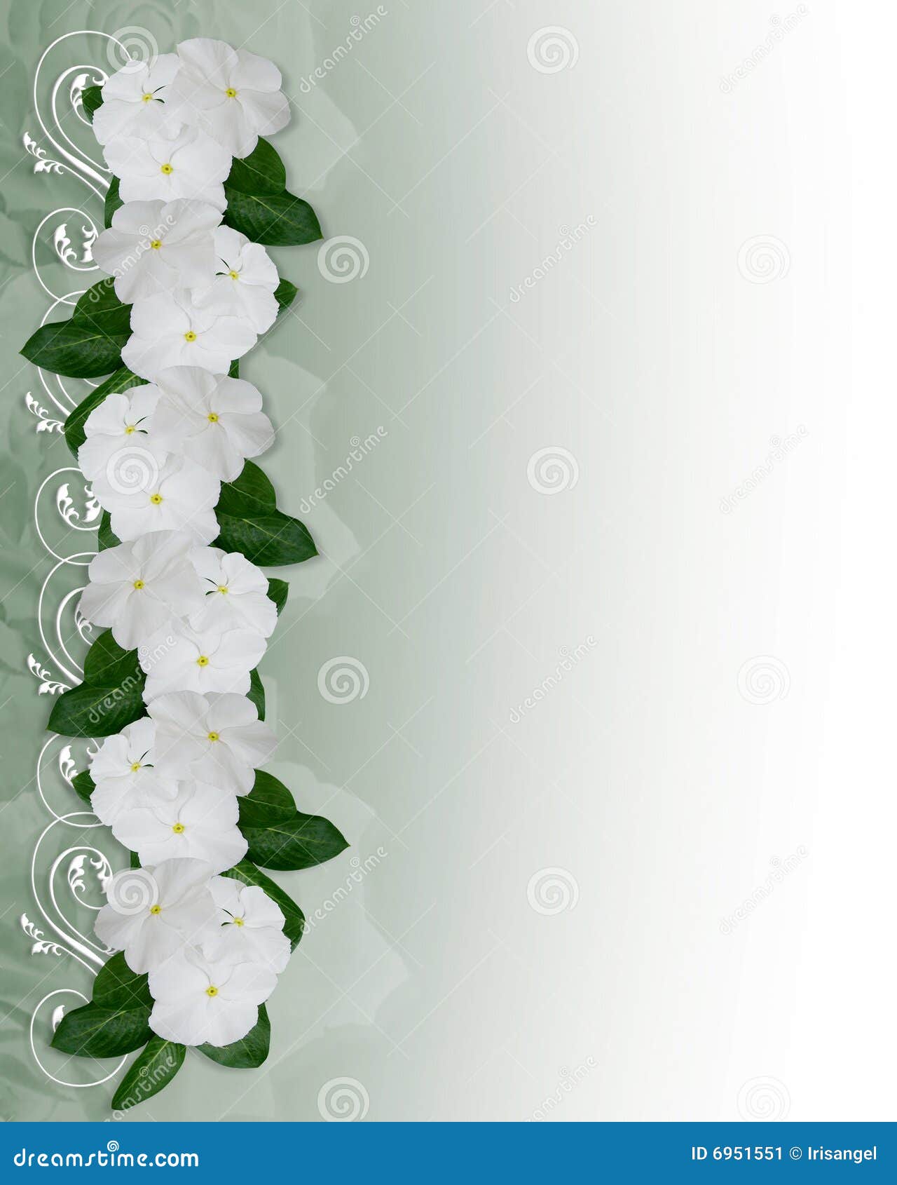 Flowers Border White Periwinkle Stock Illustration - Illustration of