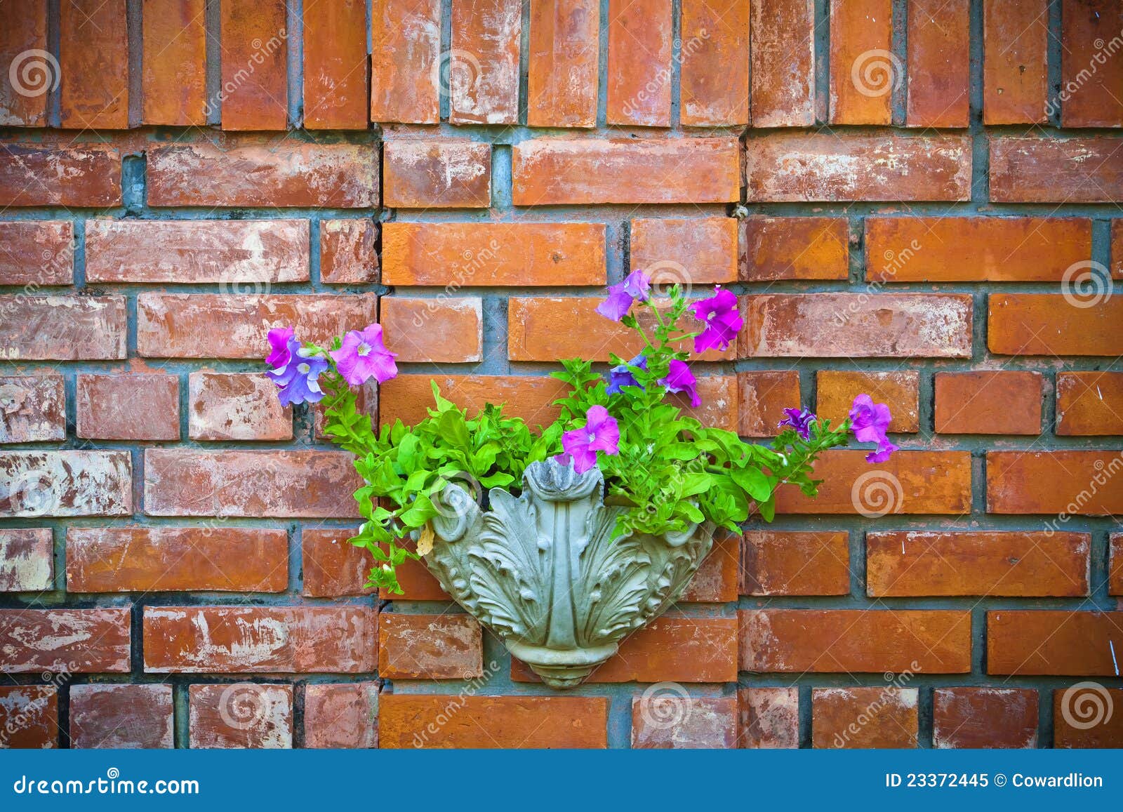 Flowers on a Brick Wall stock image. Image of flower 23372445