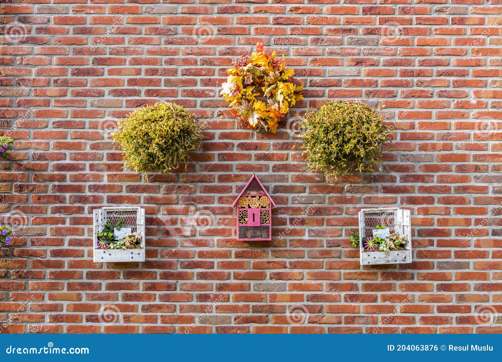 Beautiful Flowers on Brick Wall Stock Photo Image of grunge, gray