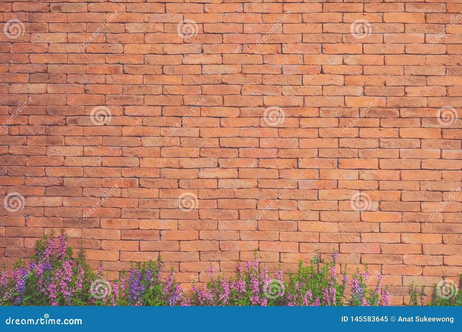 Flowers on Brick Wall Texture Stock Image Image of leaf, surface