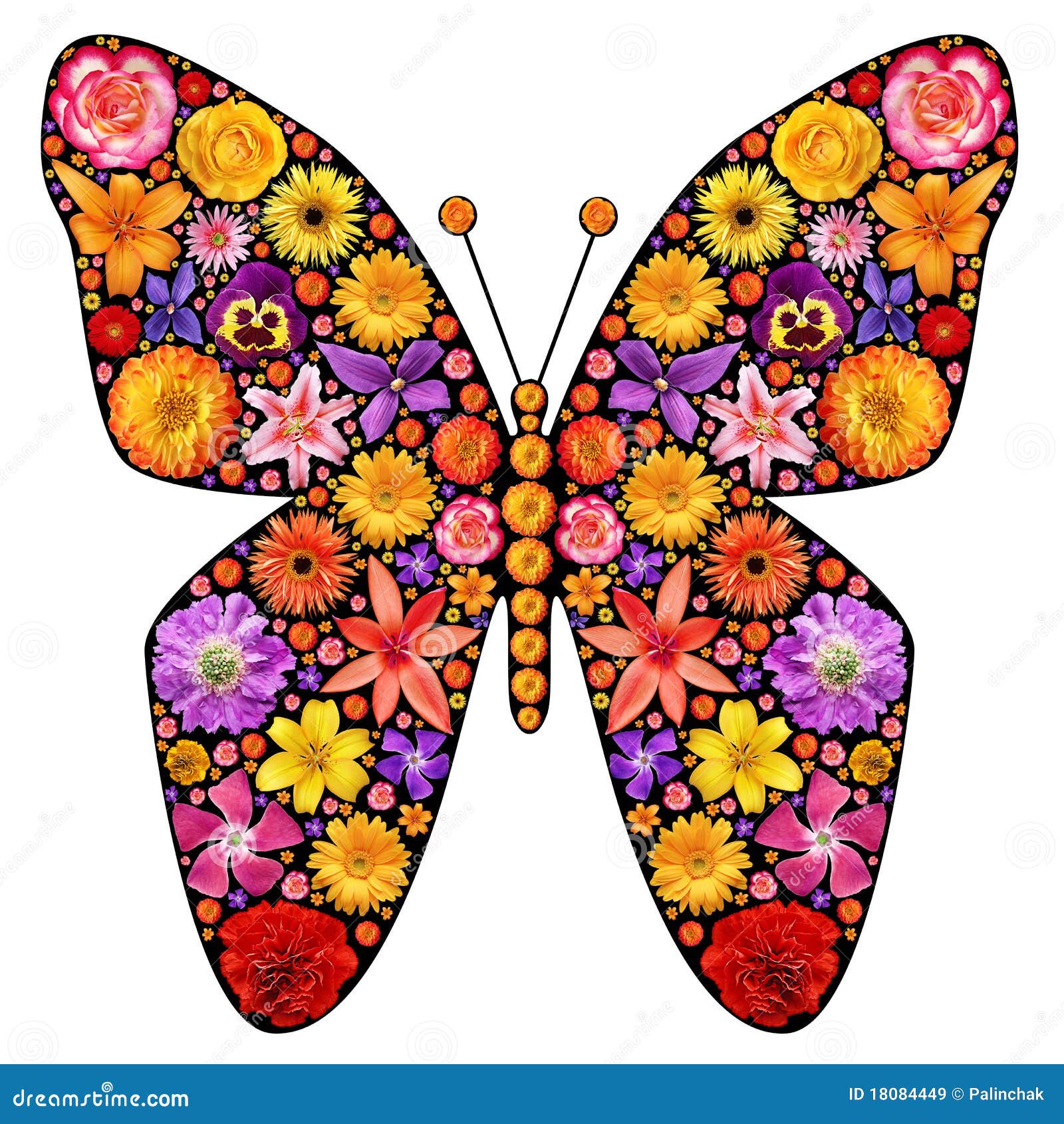 Flowers Butterfly Silhouette Stock Image Image of beauty, decoration