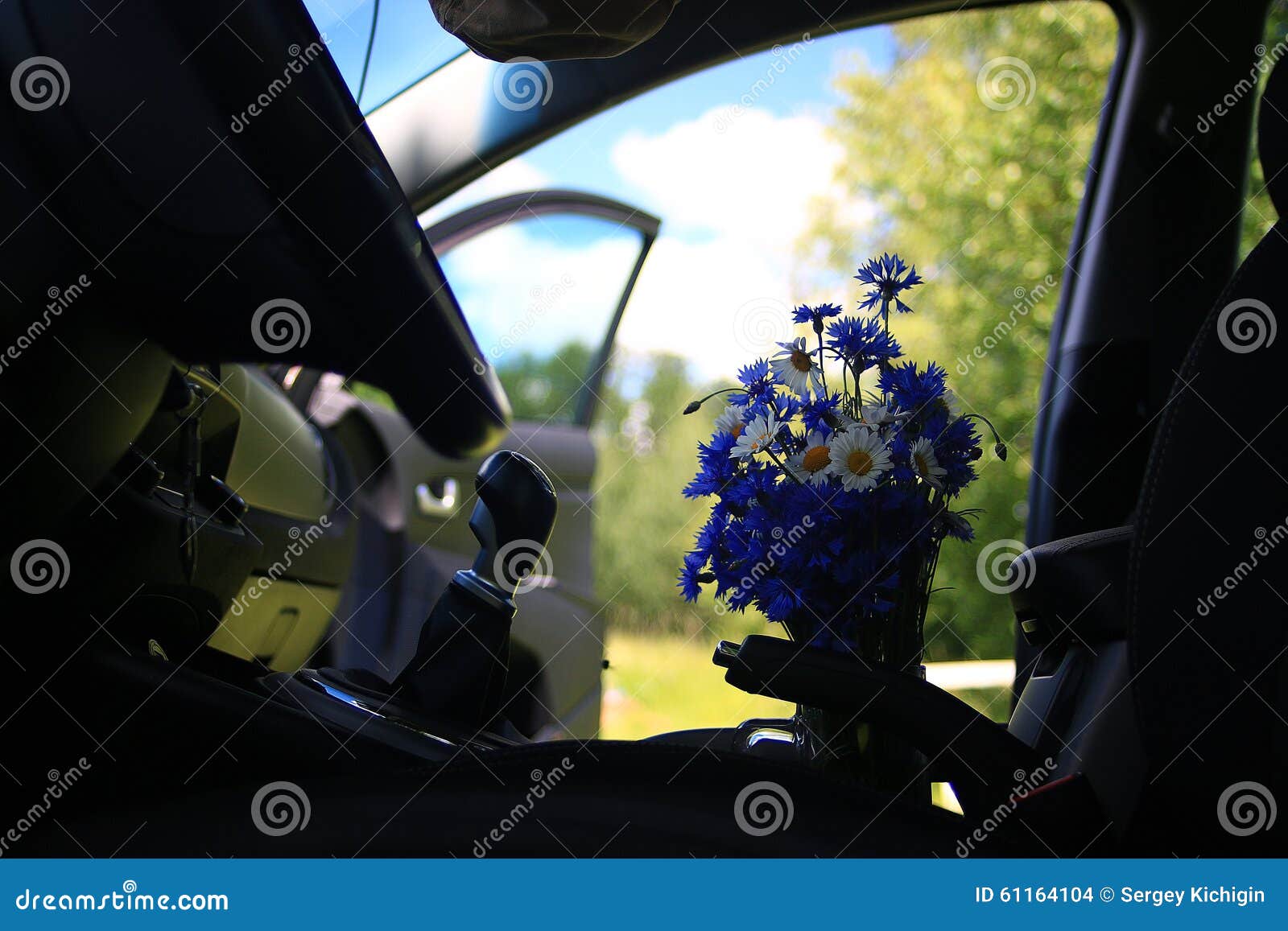 Flowers in the car stock photo. Image of countryside 61164104
