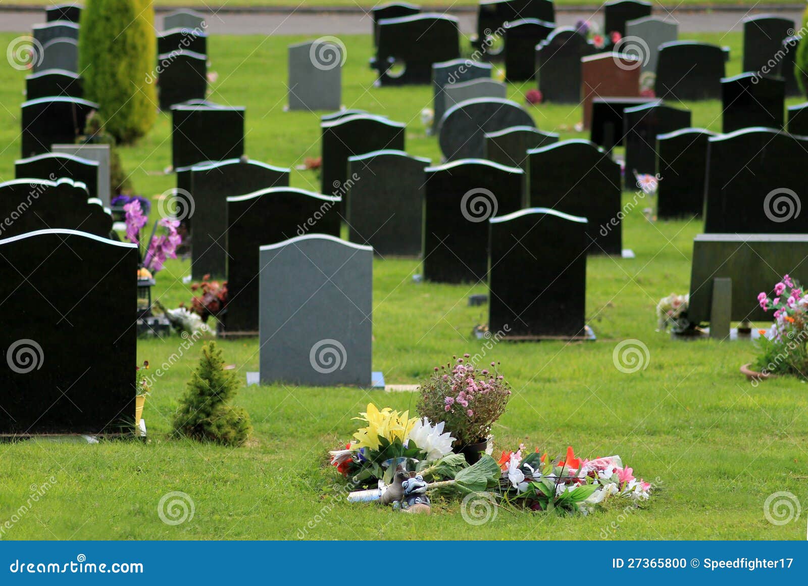 Flowers in cemetery stock photo. Image of memorial, graveyard 27365800