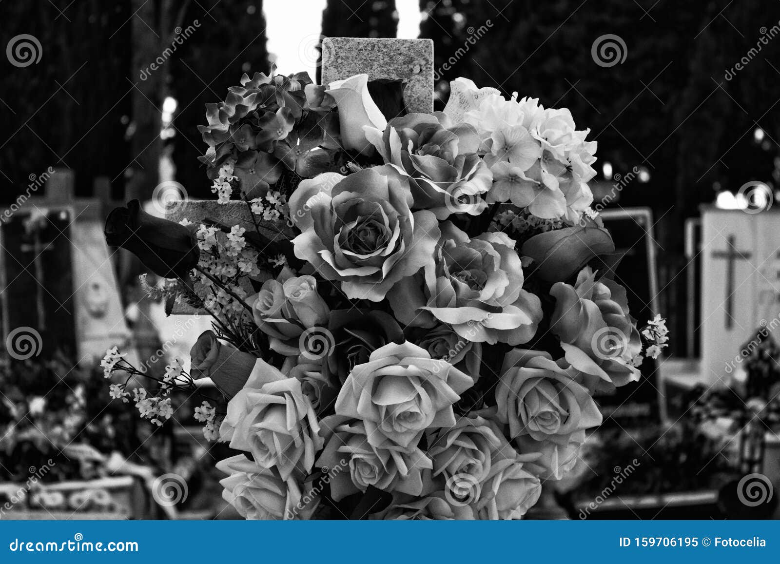 Flowers in cemetery stock image. Image of museum, flower - 159706195