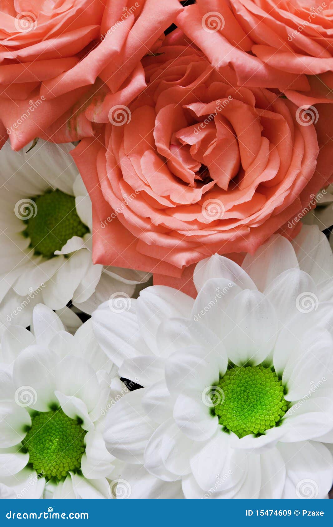 Flowers Chrysanthemums and Roses Stock Image Image of bouquet, decorative 15474609