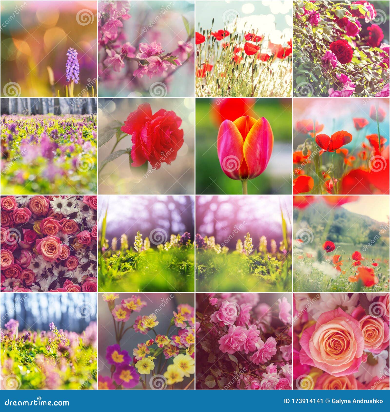 Flowers collage stock image. Image of bloom, cherry 173914141
