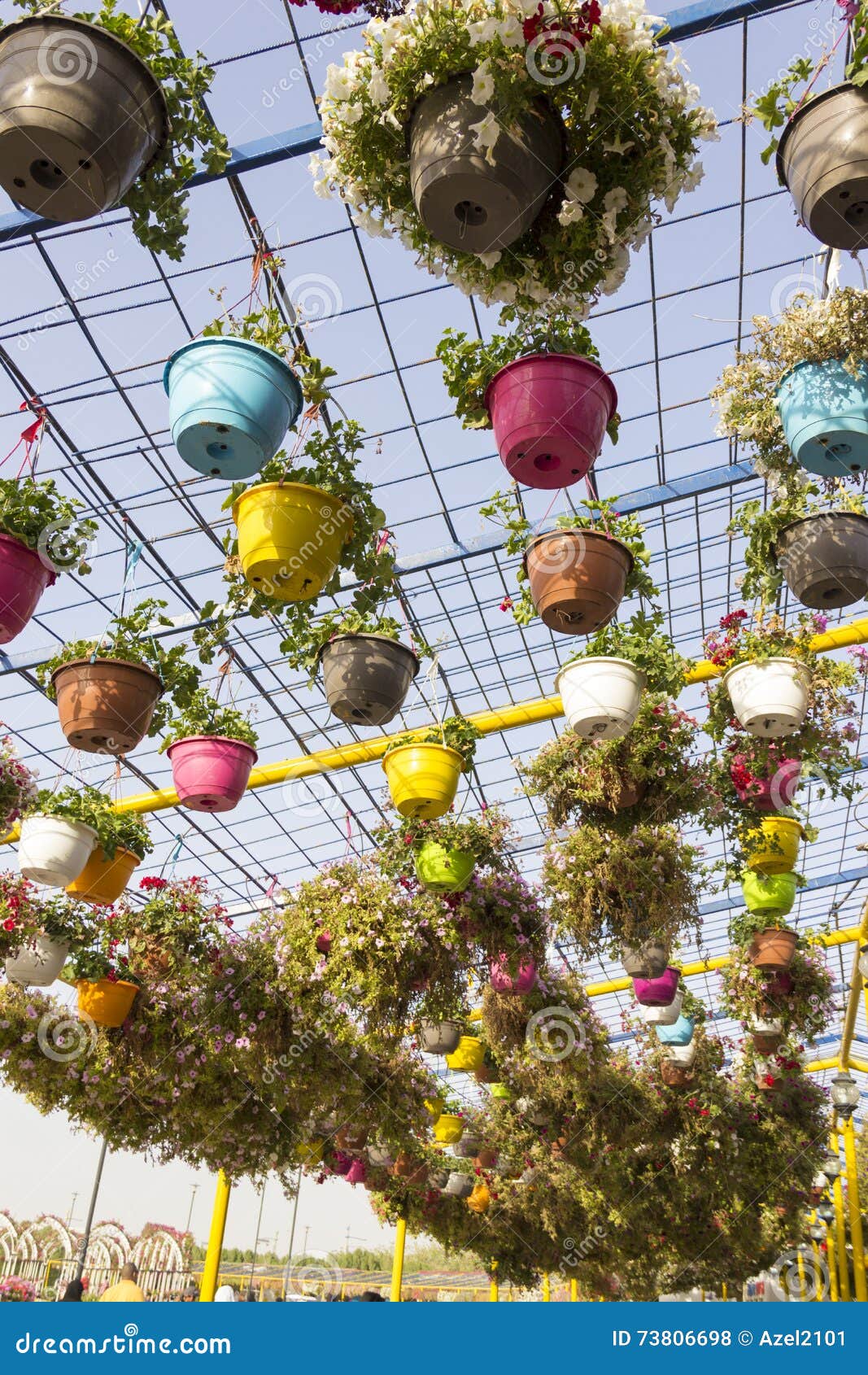 Flowers in Colored Pots Dubai Miracle Garden Editorial Stock Photo