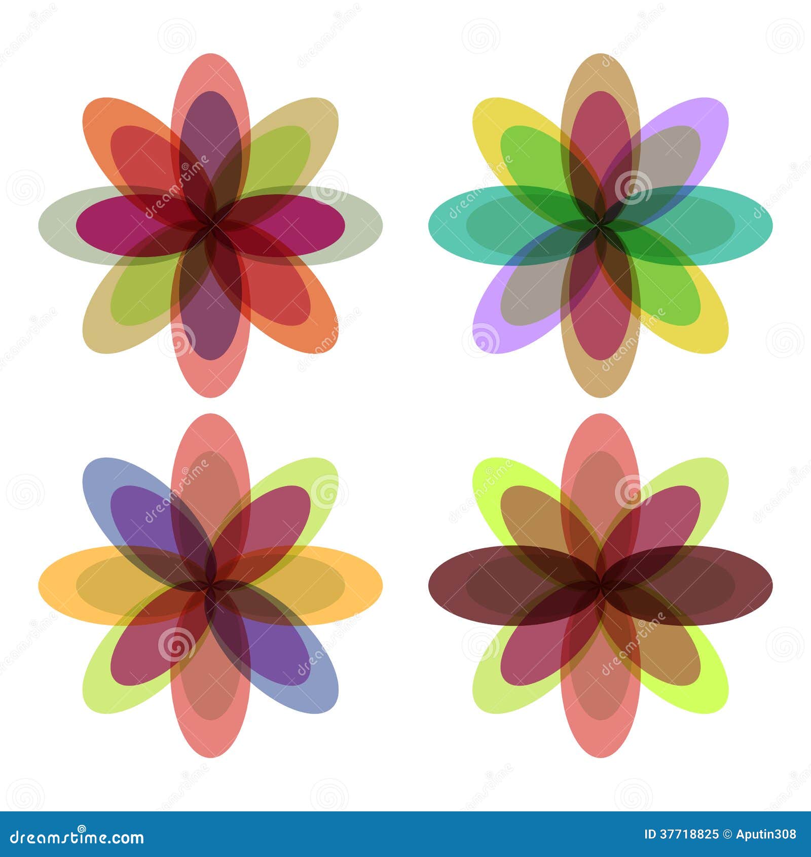 Flowers with Colorful Petals Stock Vector Illustration of daisy, pink