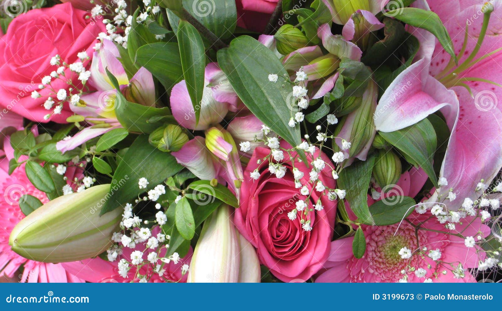 Flowers Compo stock image. Image of color, party, flower 3199673