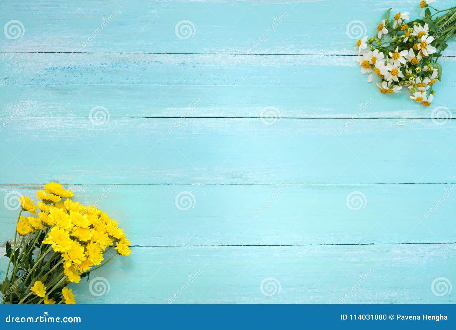 White wild flowers on a light blue background - a Royalty Free Stock Photo  from Photocase