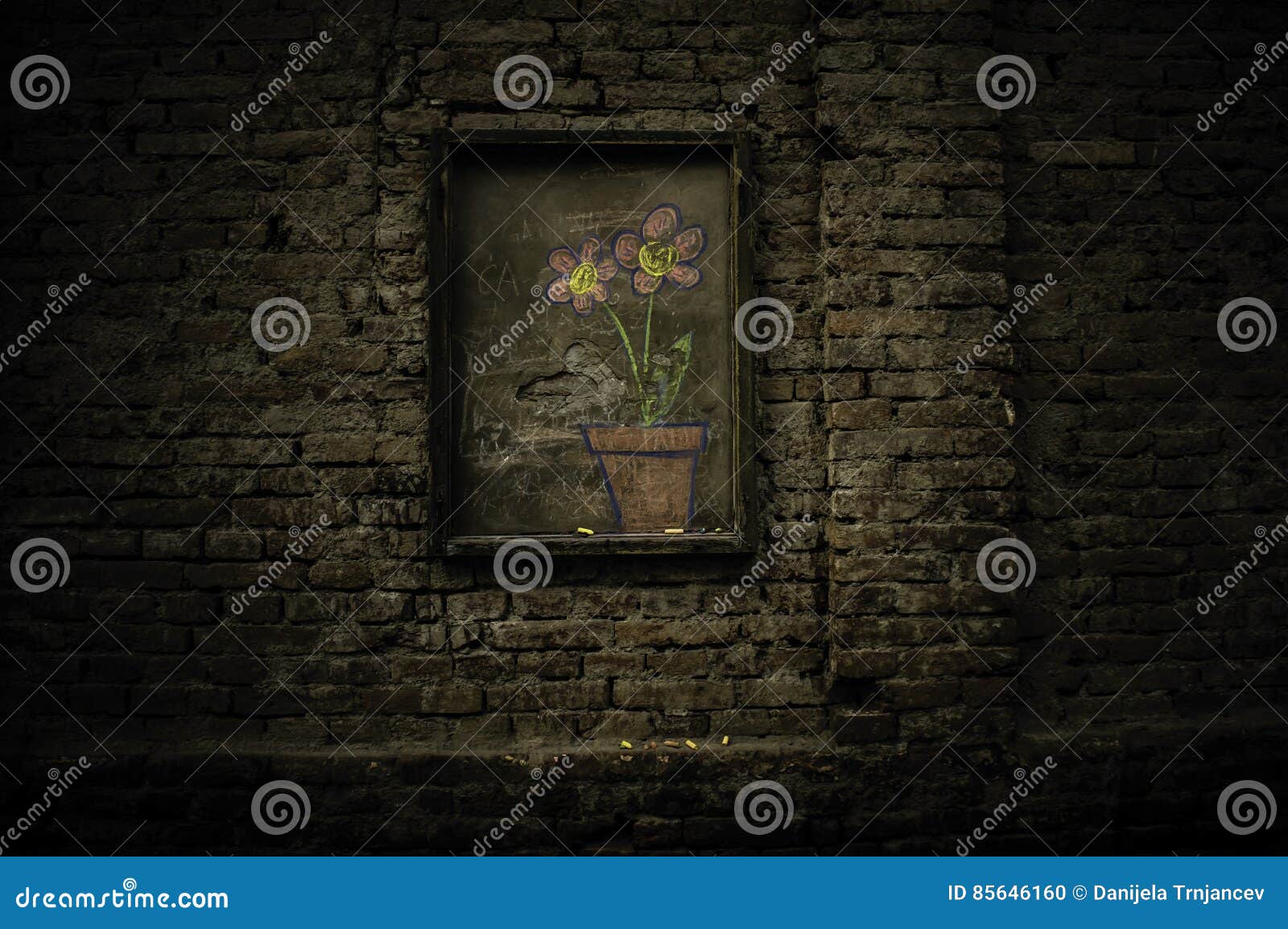 Flowers in the concrete stock photo. Image of brown, dirty 85646160