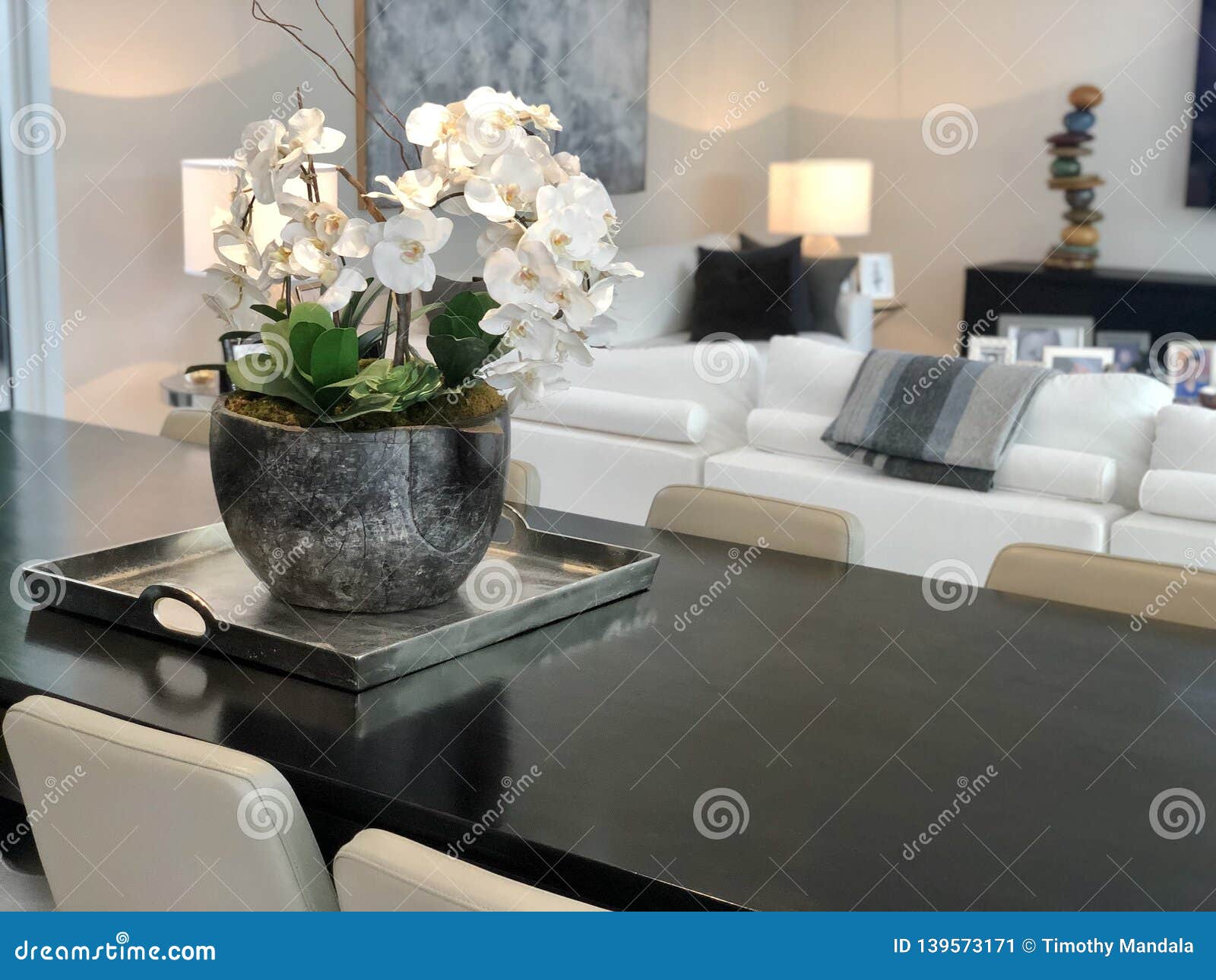 Flowers in a Contemporary Home Stock Image Image of home, modern