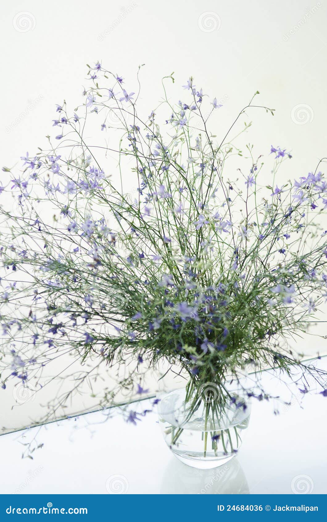 Flowers in Contemporary Interior Design Stock Photo Image of