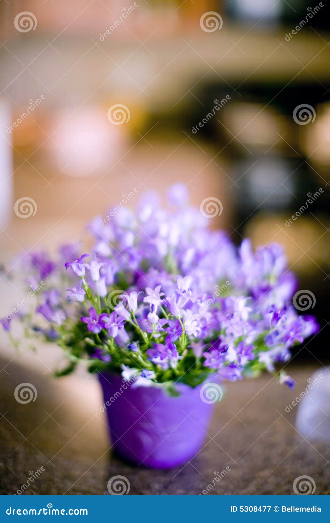 Flowers on counter stock image. Image of kitchen, indoor 5308477