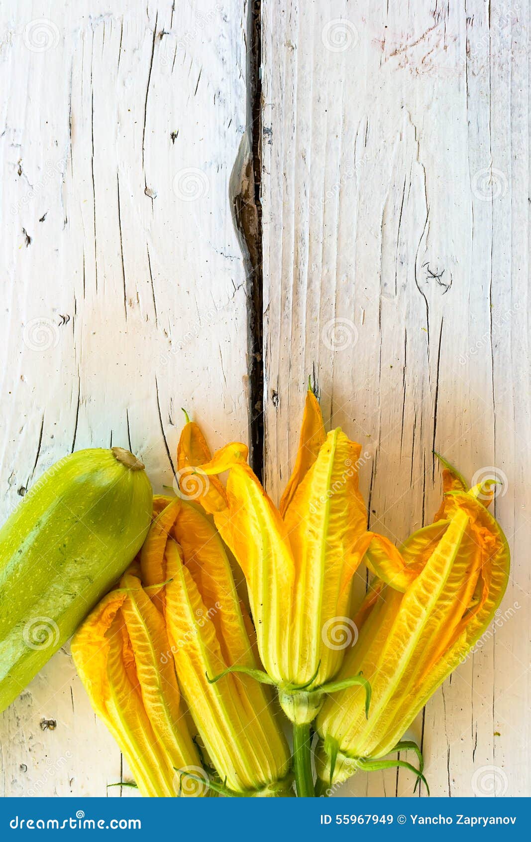 Flowers of courgettes stock image. Image of organic, blossom 55967949