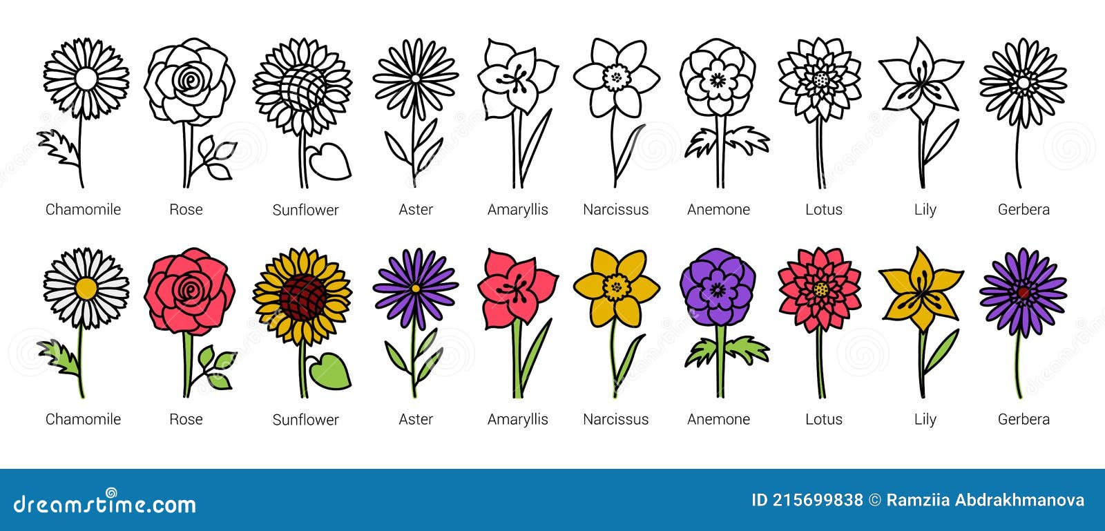 Flowers. Doodle Vector Set. Hand Drawn Line Sketch Floral Collection. Types  of Flowers with Names. Chamomile, Rose, Sunflower, Stock Vector -  Illustration of gerbera, coloring: 215699838