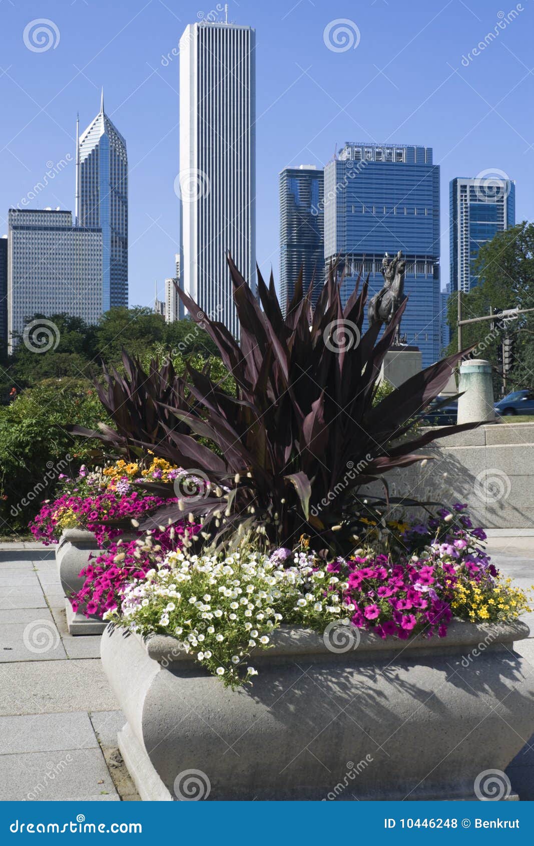 Flowers in Downtown Chicago Stock Photo Image of skyline, skyscraper