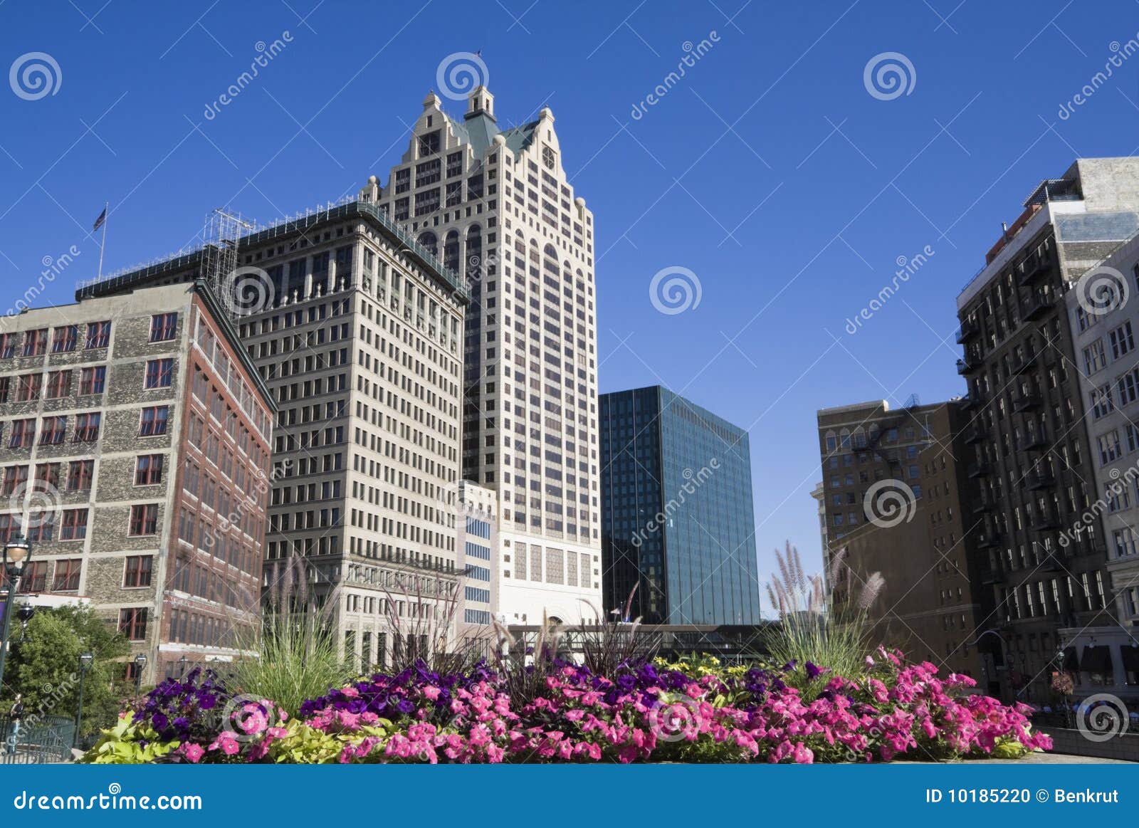 Flowers in Downtown Milwaukee Stock Photo Image of district, people