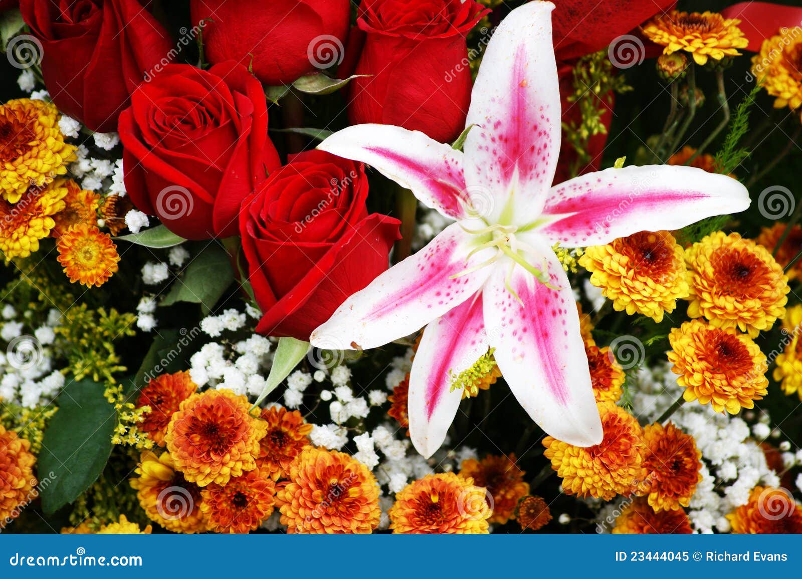 Flowers at Ecuador market stock image. Image of flower 23444045