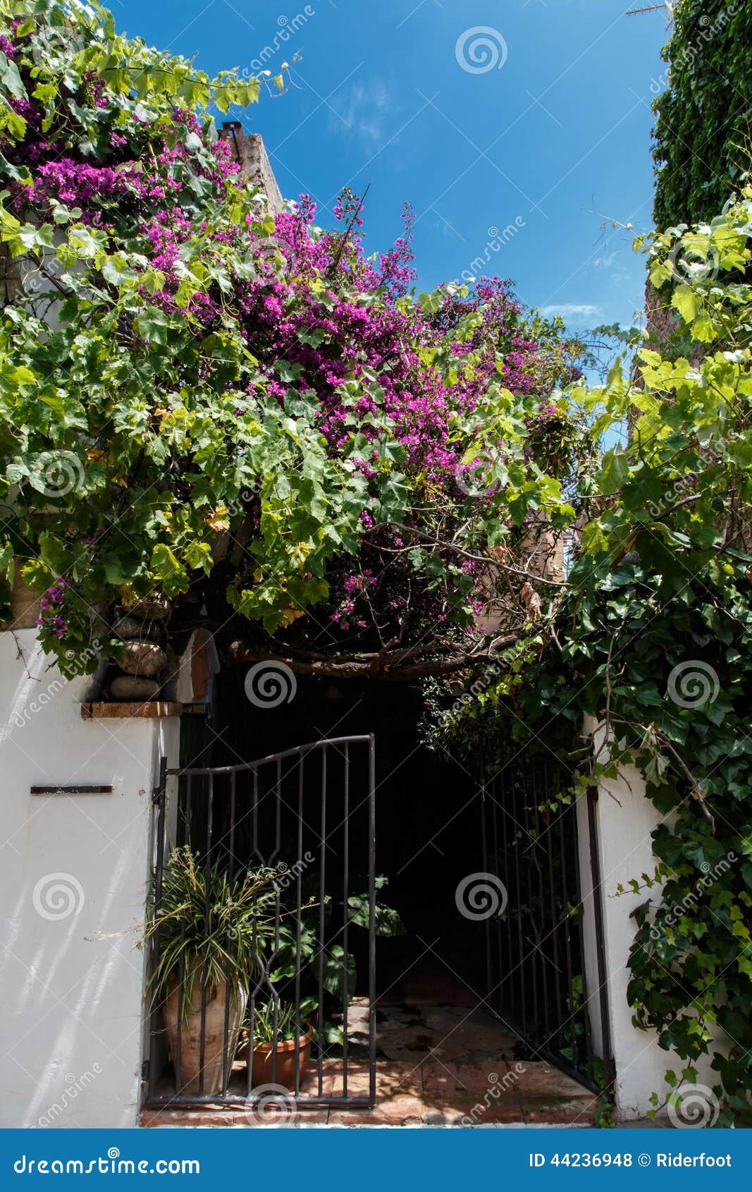 Flowers entry house stock photo. Image of entry, decoration 44236948