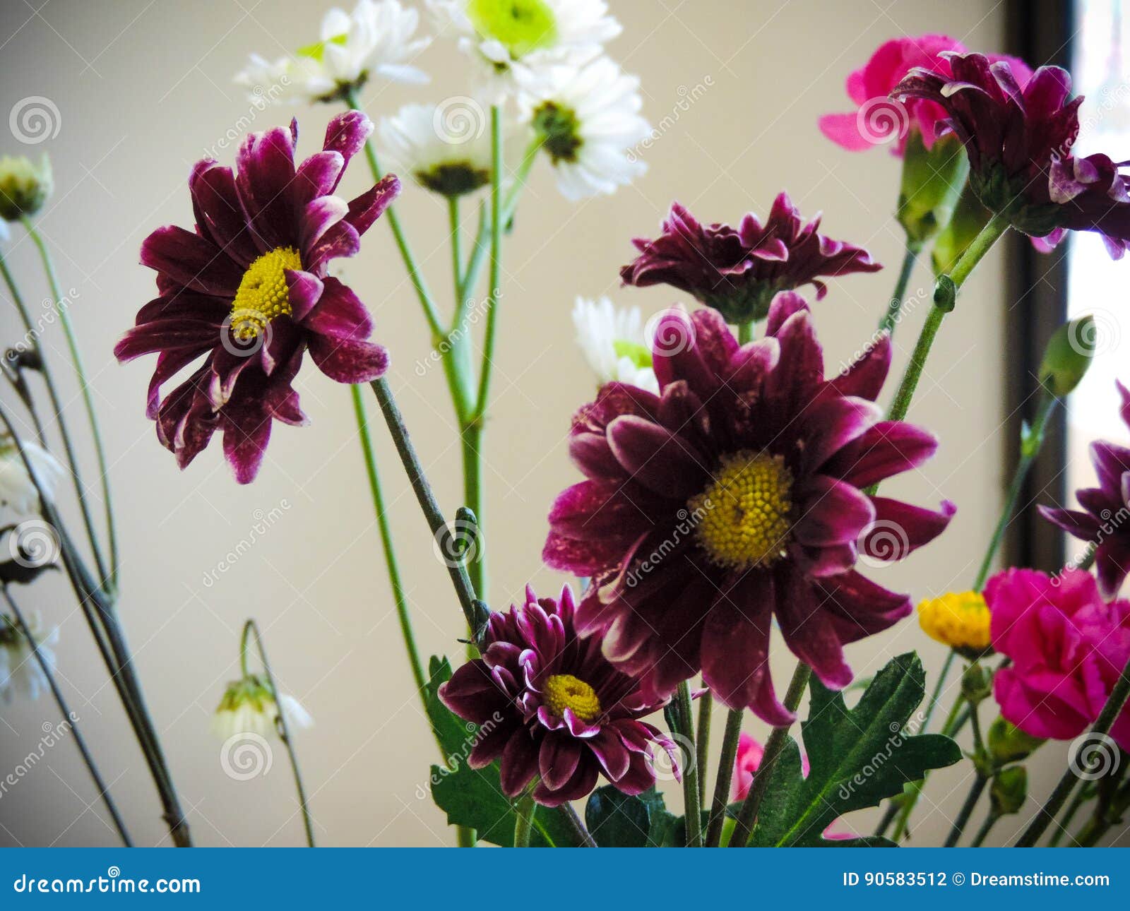 Flowers stock photo. Image of violet, modern, walls, pink 90583512