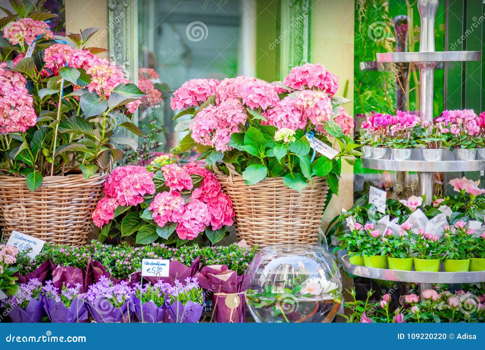 Flowers stock photo. Image of design, plant, collection 109220220