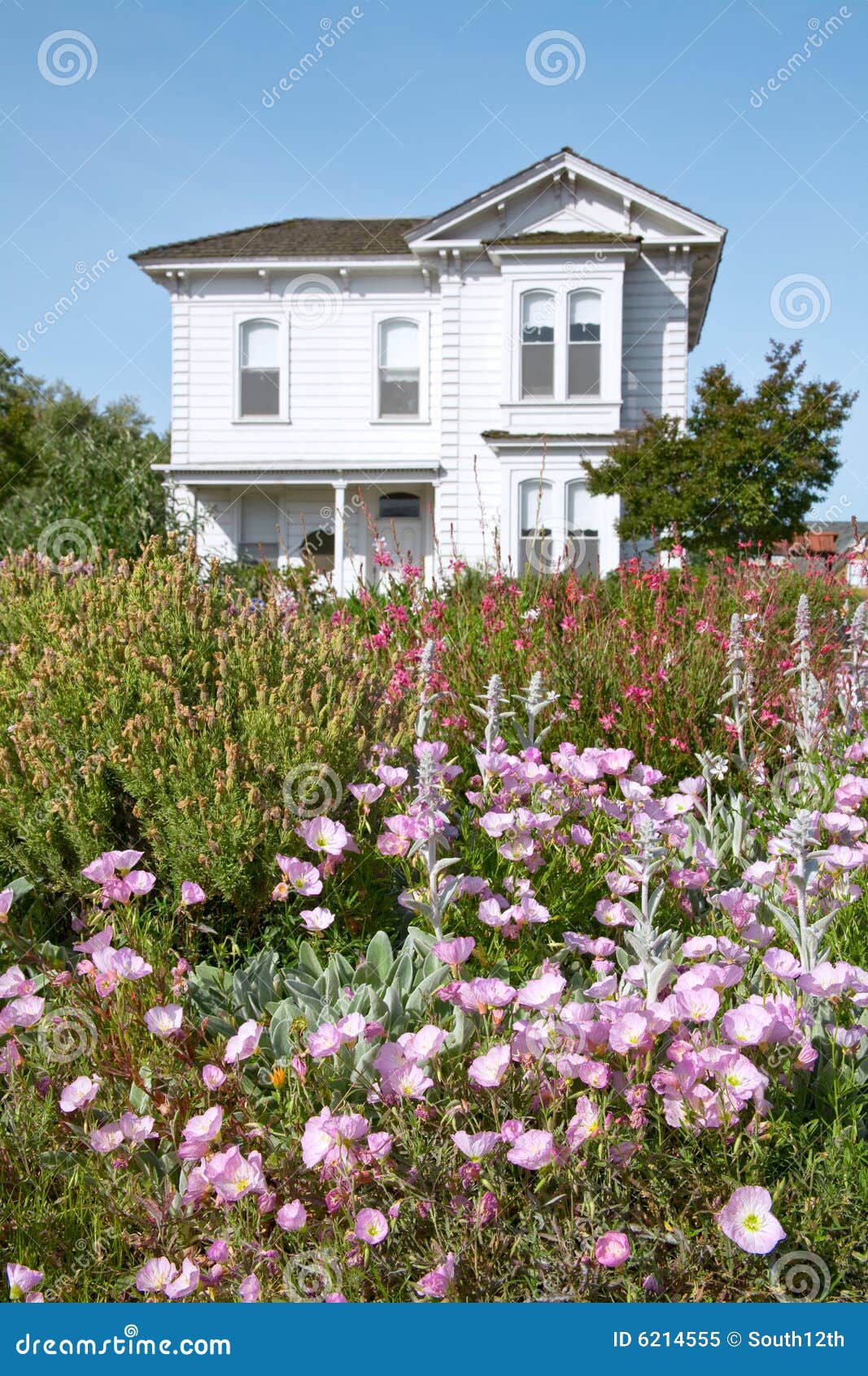 Flowers in Front of Old Victorian Farmhouse Stock Image Image of