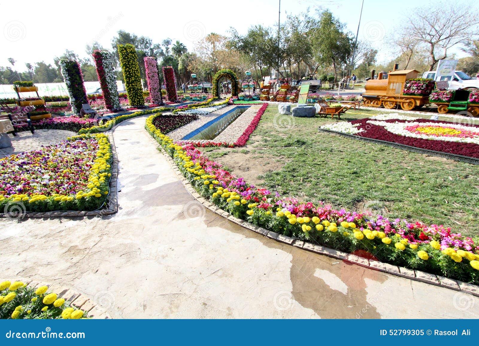 Flowers Gallery in Baghdad stock image. Image of flora 52799305