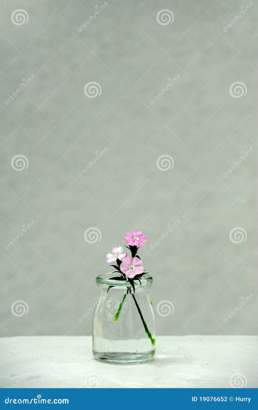 Flowers in a glass bottle stock photo. Image of arrangement 19076652