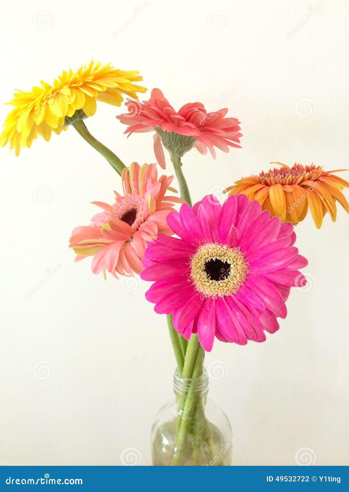 Flowers in a Glass Bottle stock photo. Image of flower 49532722