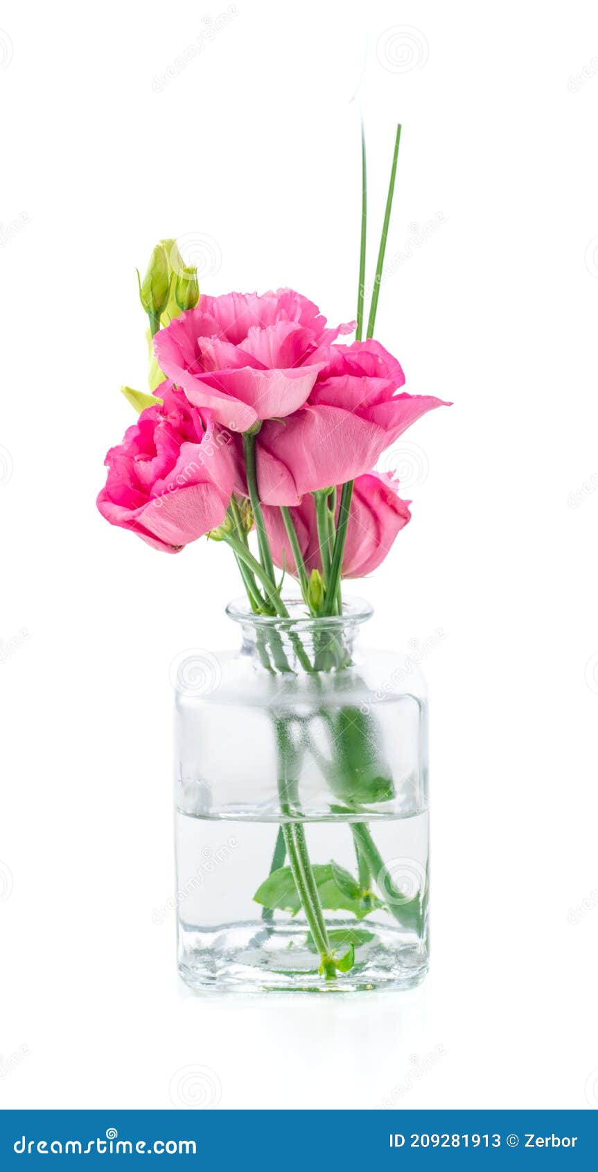 Flowers in a glass vase stock image. Image of decoration 209281913