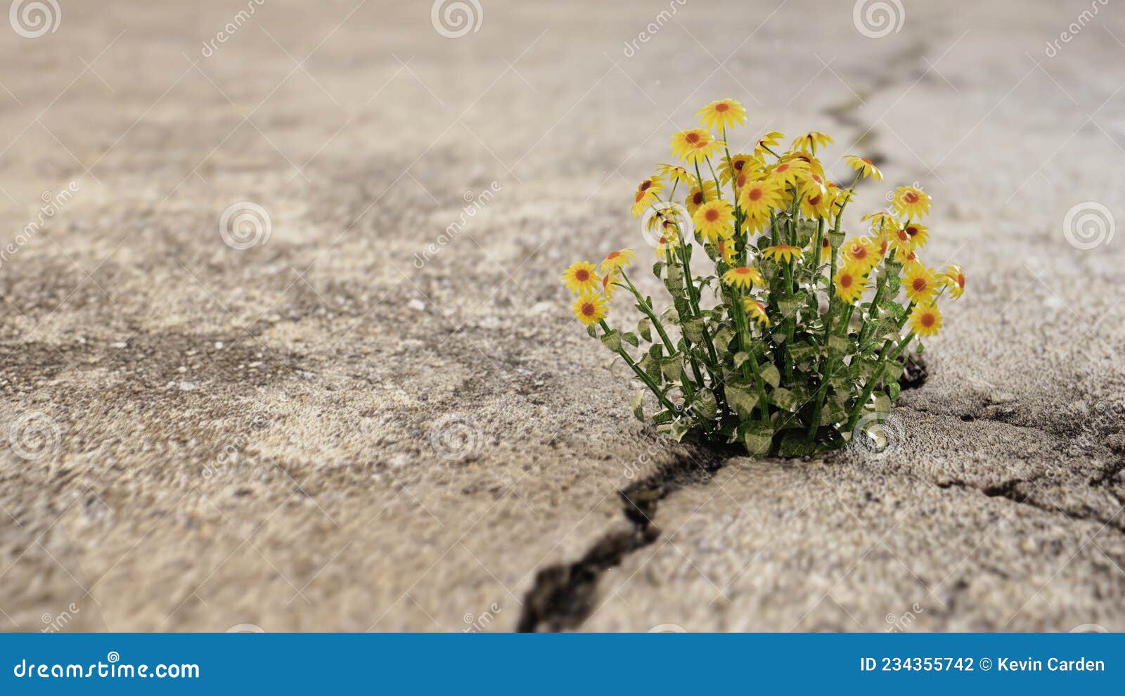 Flowers Growing through Cracks Stock Photo Image of grow, broken