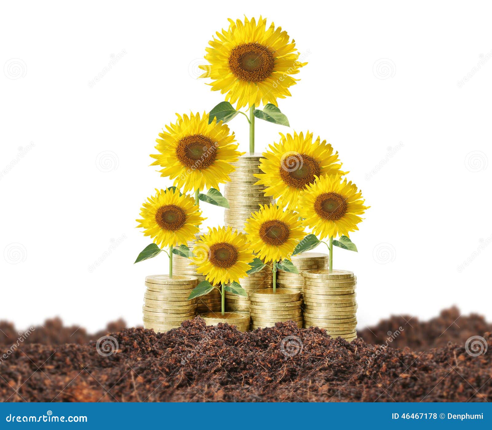 Flowers growing from money stock photo. Image of metaphor 46467178