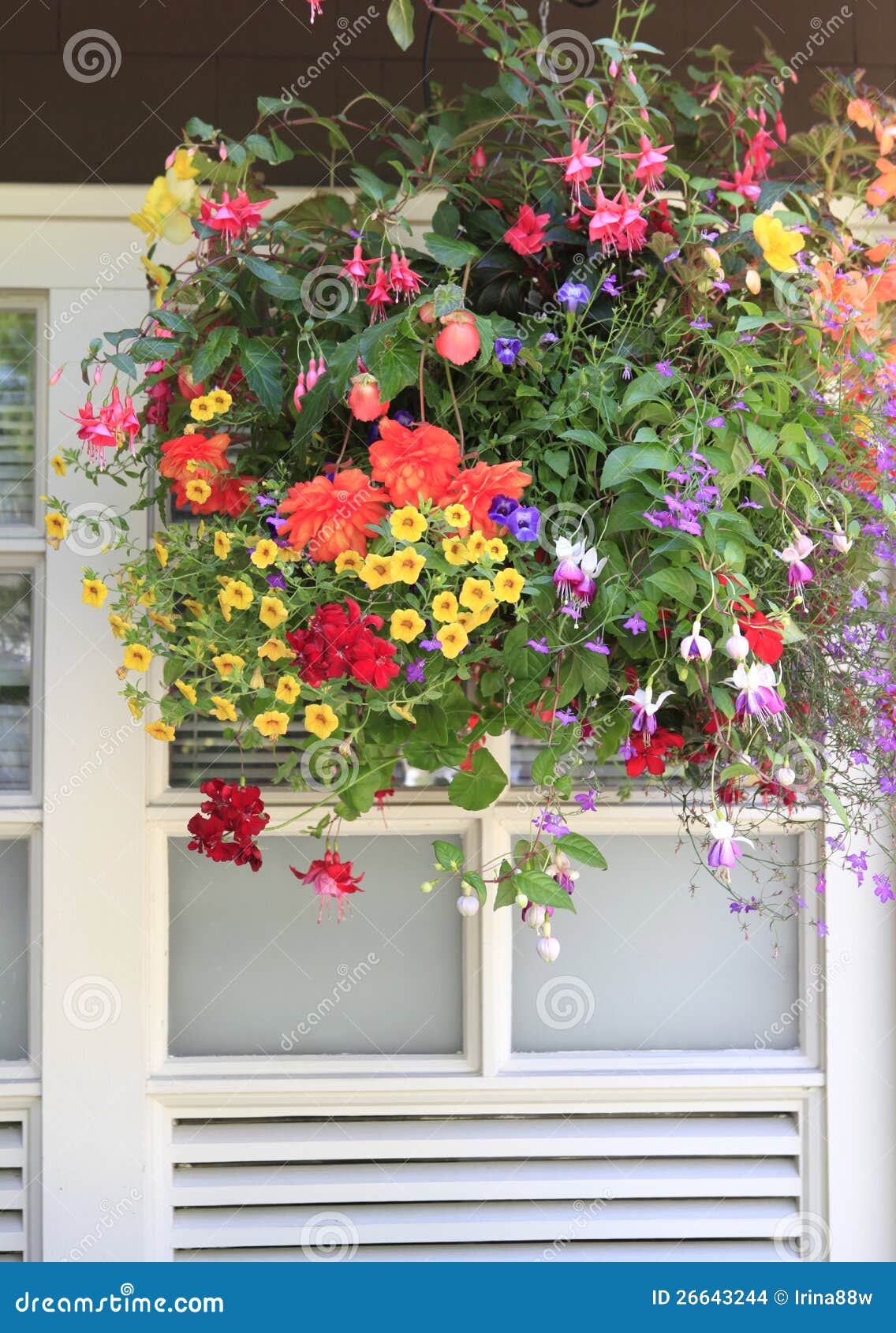 Flowers in the Hanging Basket with Window. Stock Photo Image of