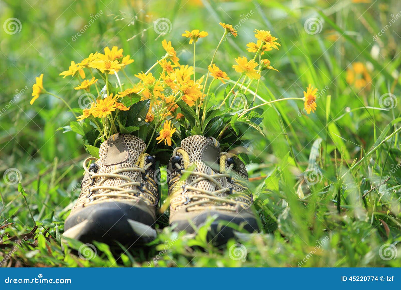Flowers and Hiking Boots on Grass Stock Photo Image of grass, blue