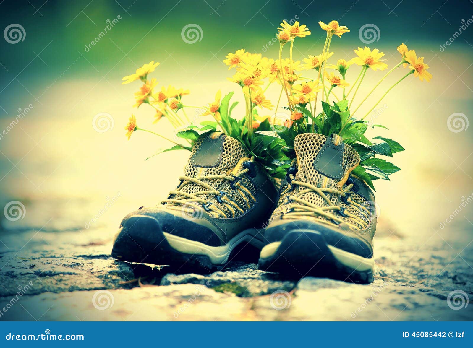 floral hiking boots