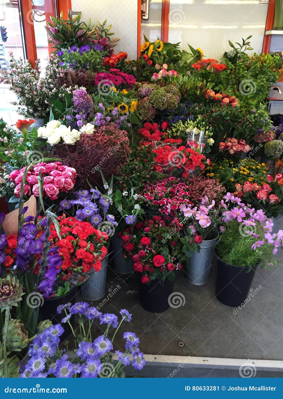 Flowers of Holland editorial photo. Image of holland 80633281