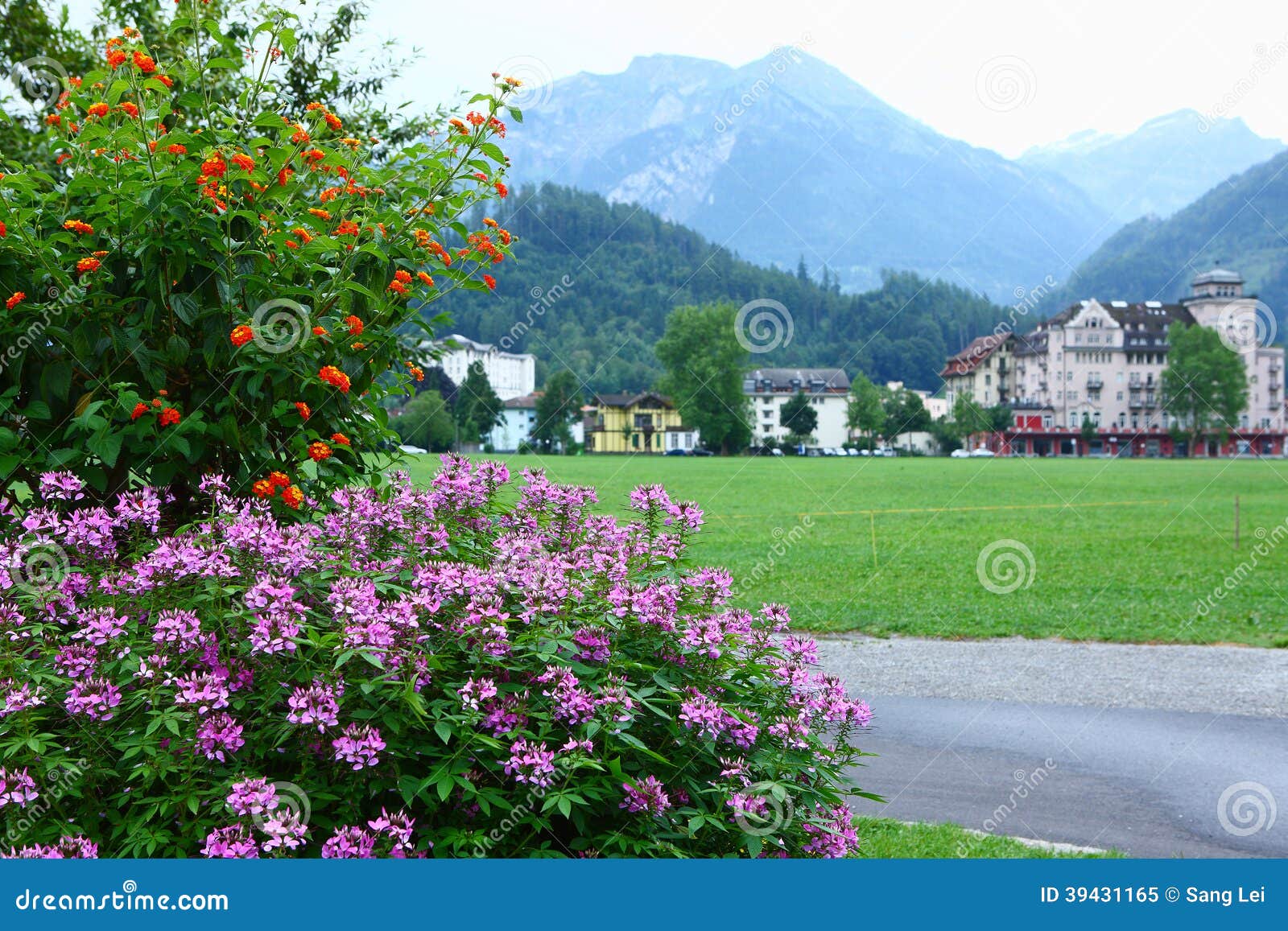 Flowers in Interlaken stock image. Image of lawn, beautiful 39431165