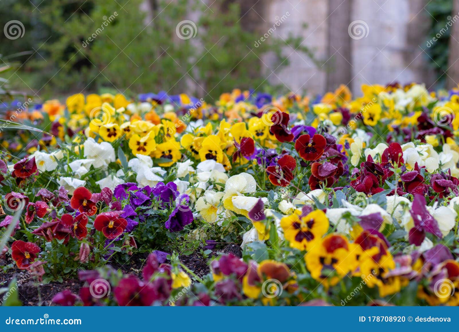 flowers of jardins dels alemanys