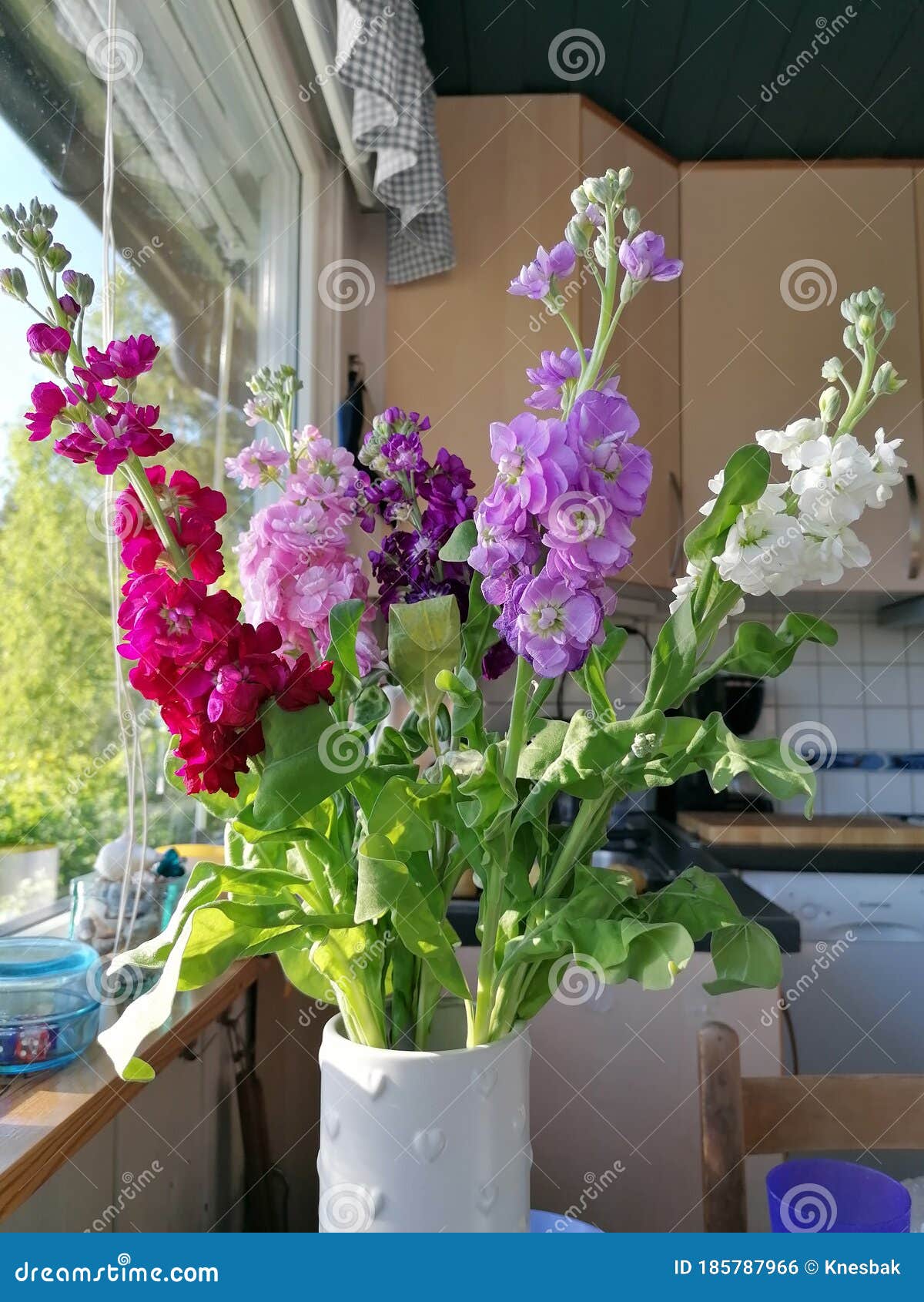 Flowers on the Kitchen Table Stock Photo Image of garden, plant