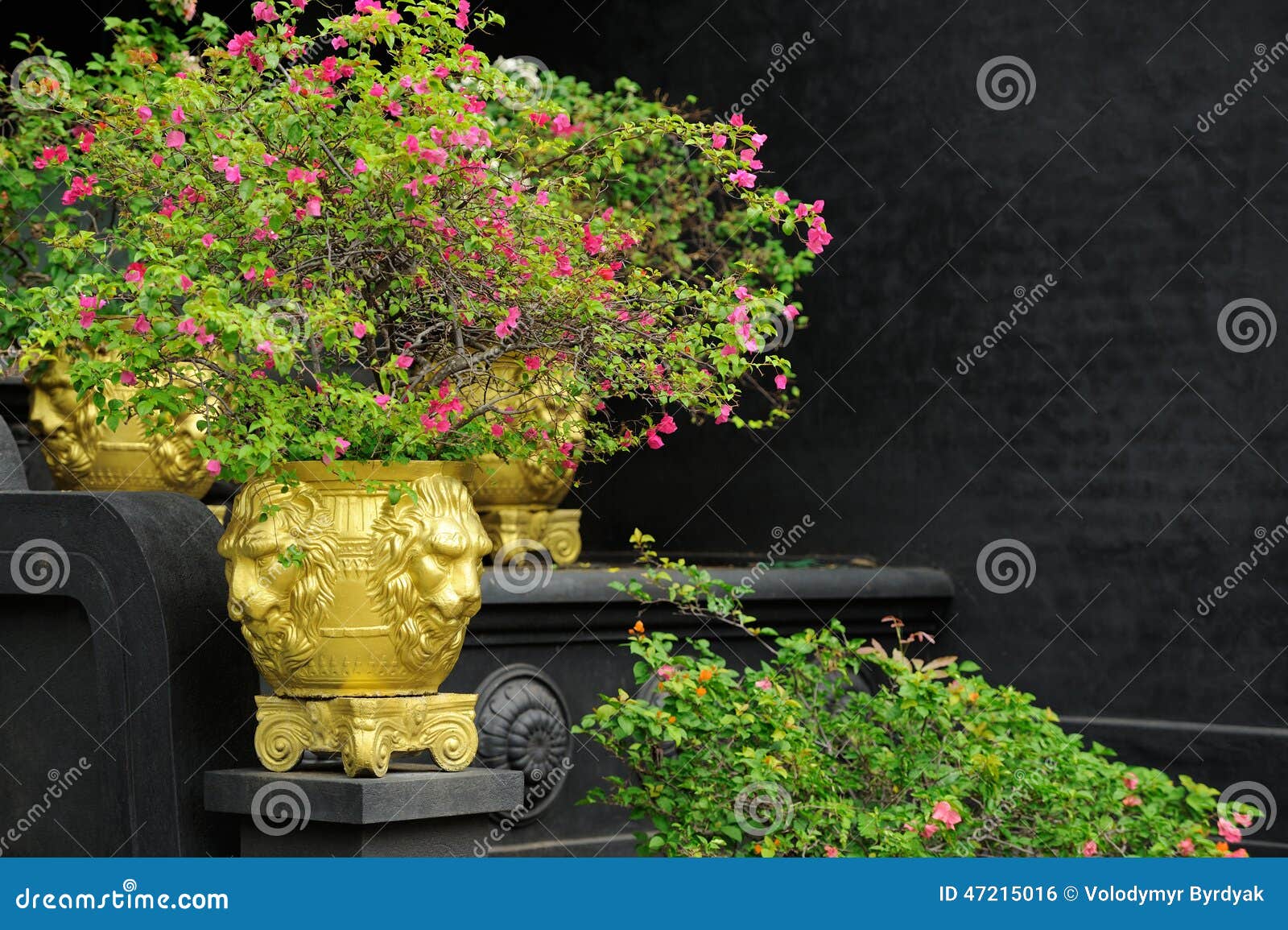 Flowers in a Large Vase in the Garden Stock Photo Image of fresh
