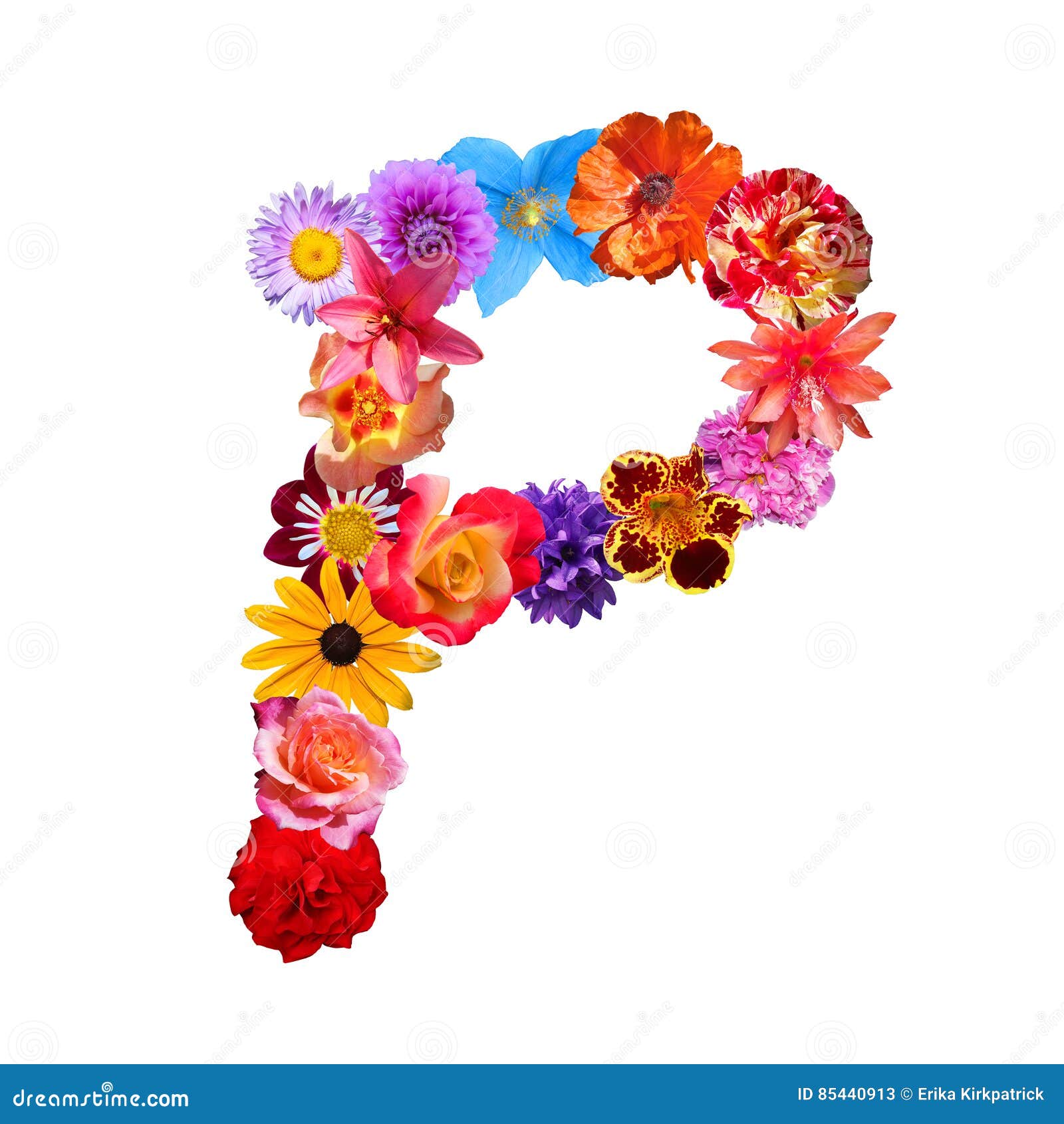 Flowers That Start With The Letter P