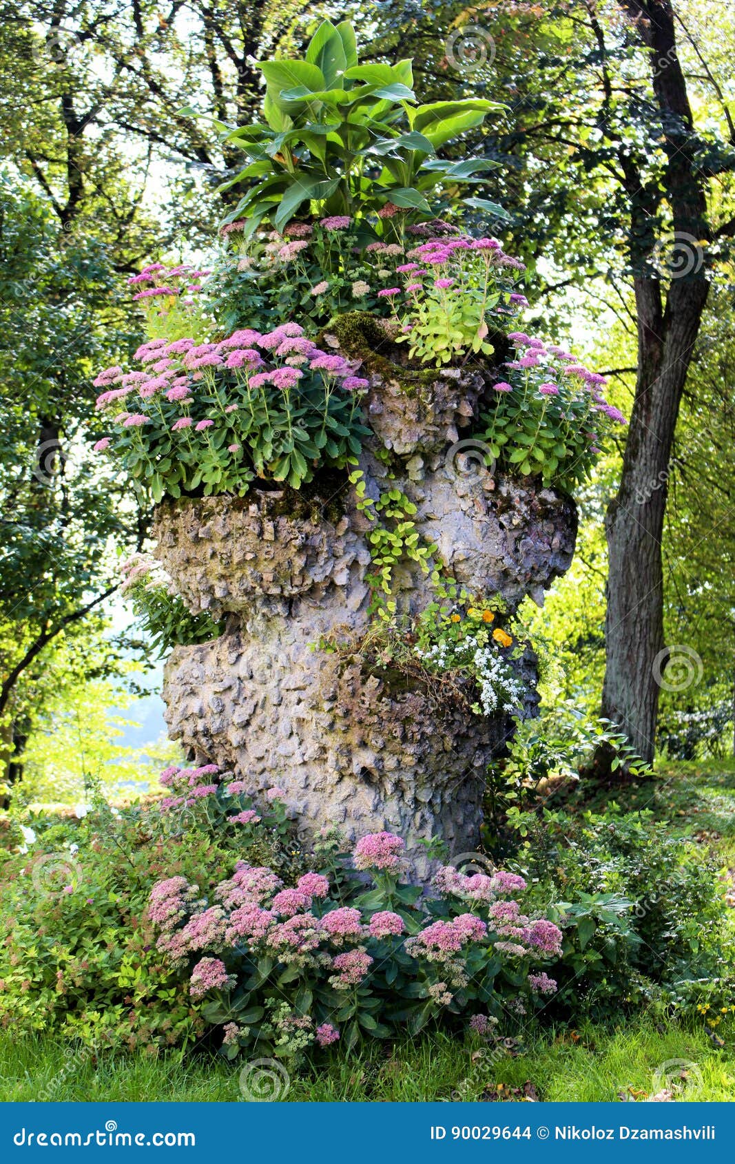 Flowers Lithuanian Forest Vilnius Flora Stock Photos Free & Royalty