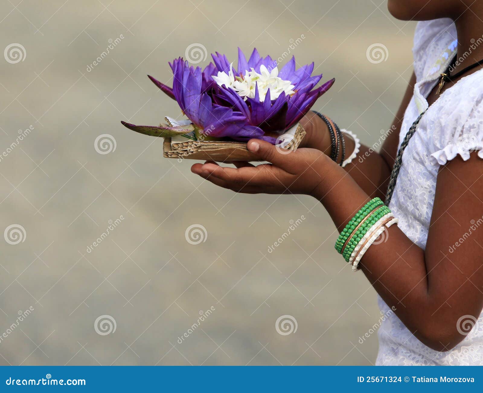 Flowers of a Lotus in Hands Stock Photo Image of buddhist, lotus