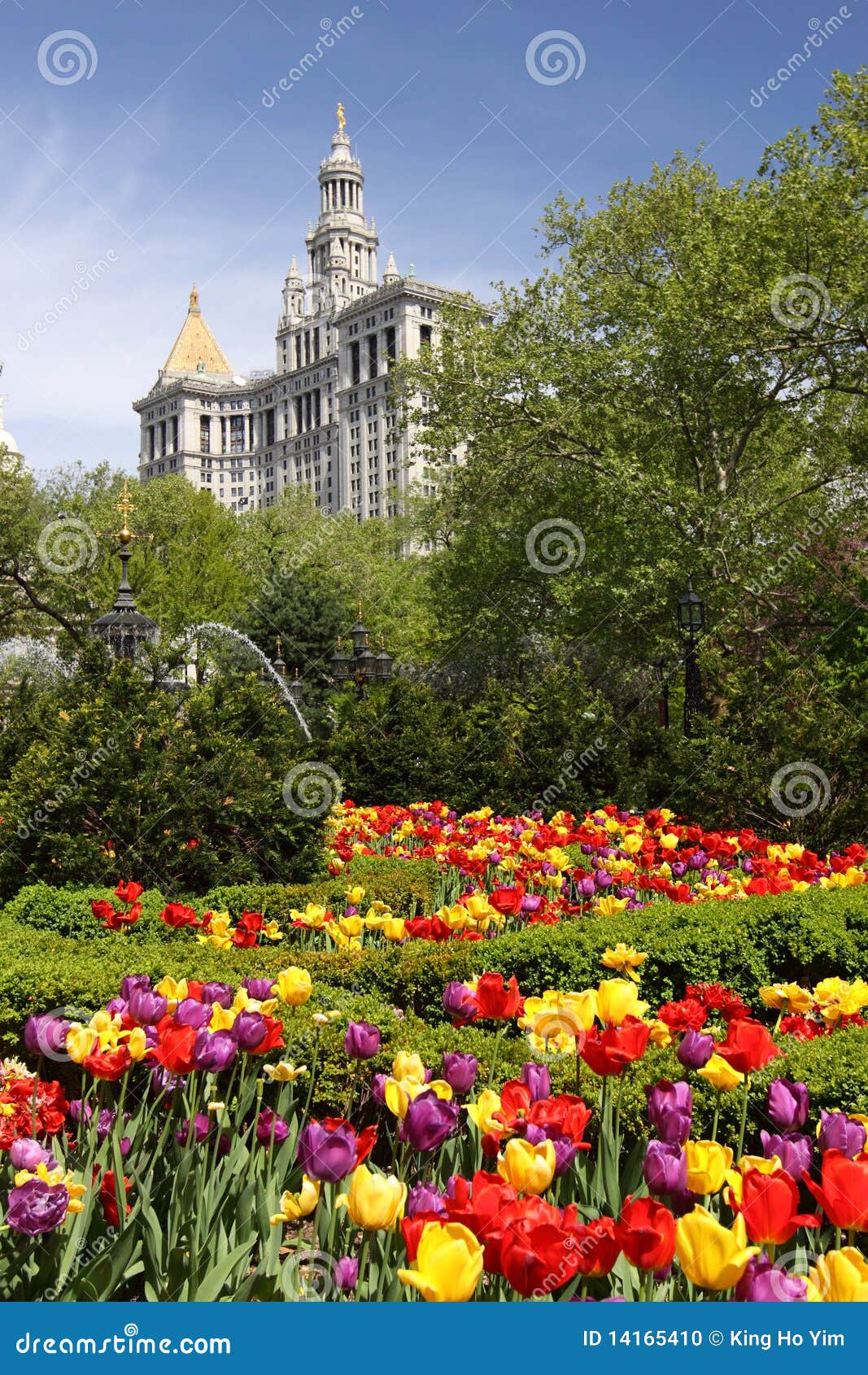 Flowers in lower manhattan stock photo. Image of flower 14165410