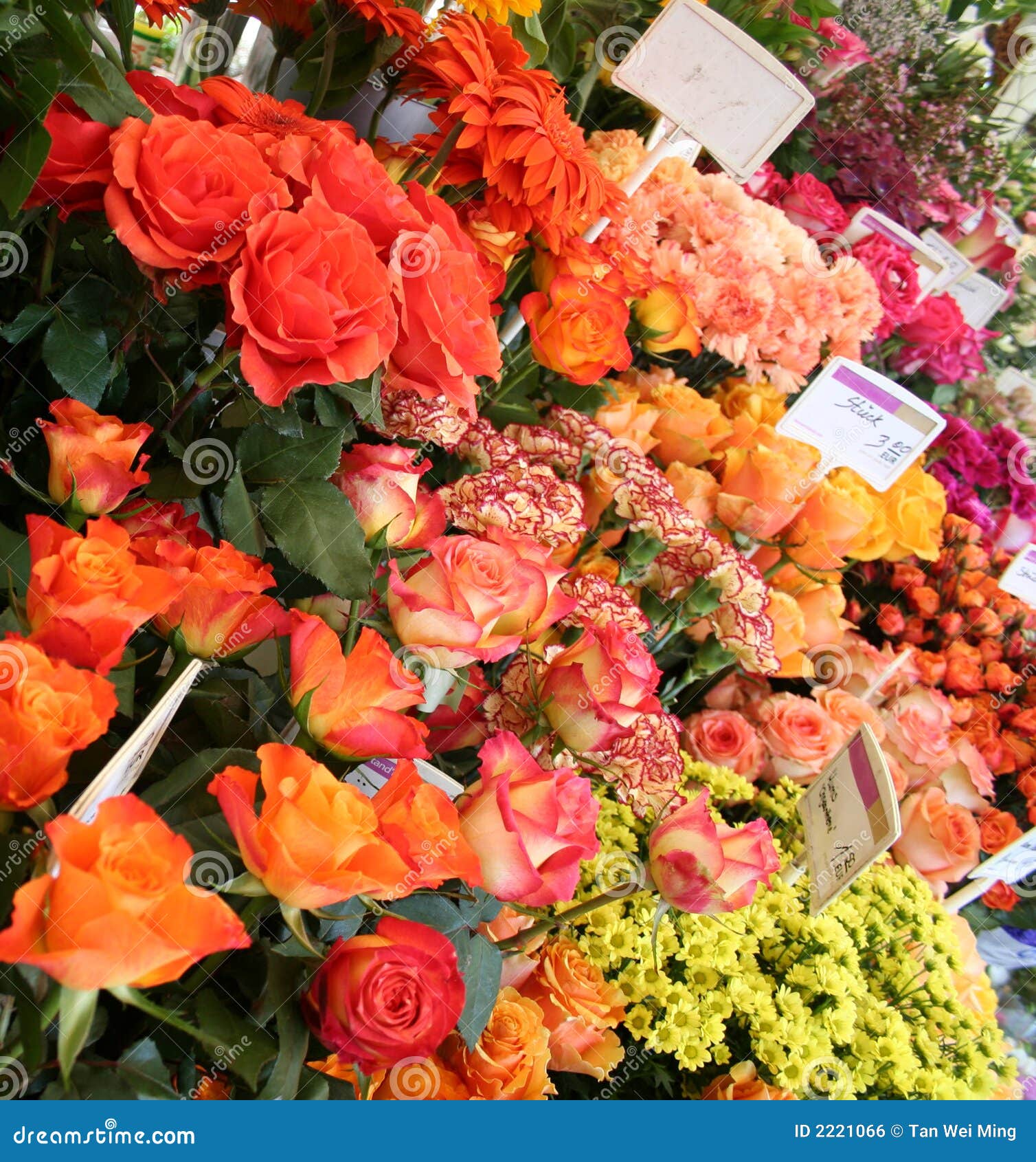 Flowers Market stock photo. Image of abstract, blossom 2221066