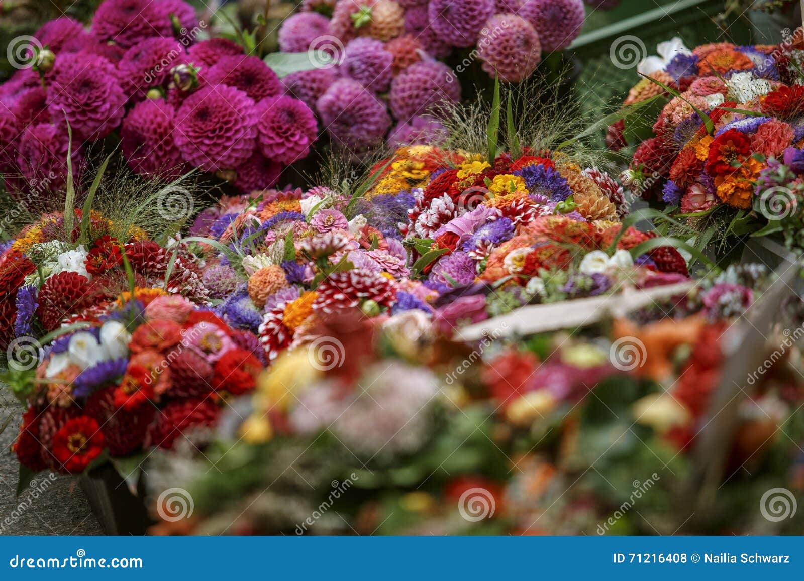 Flowers on the market stock photo. Image of flowers, markt 71216408